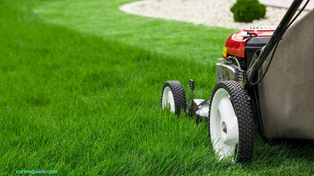 Handyman lawn mowing service in Toronto and GTA