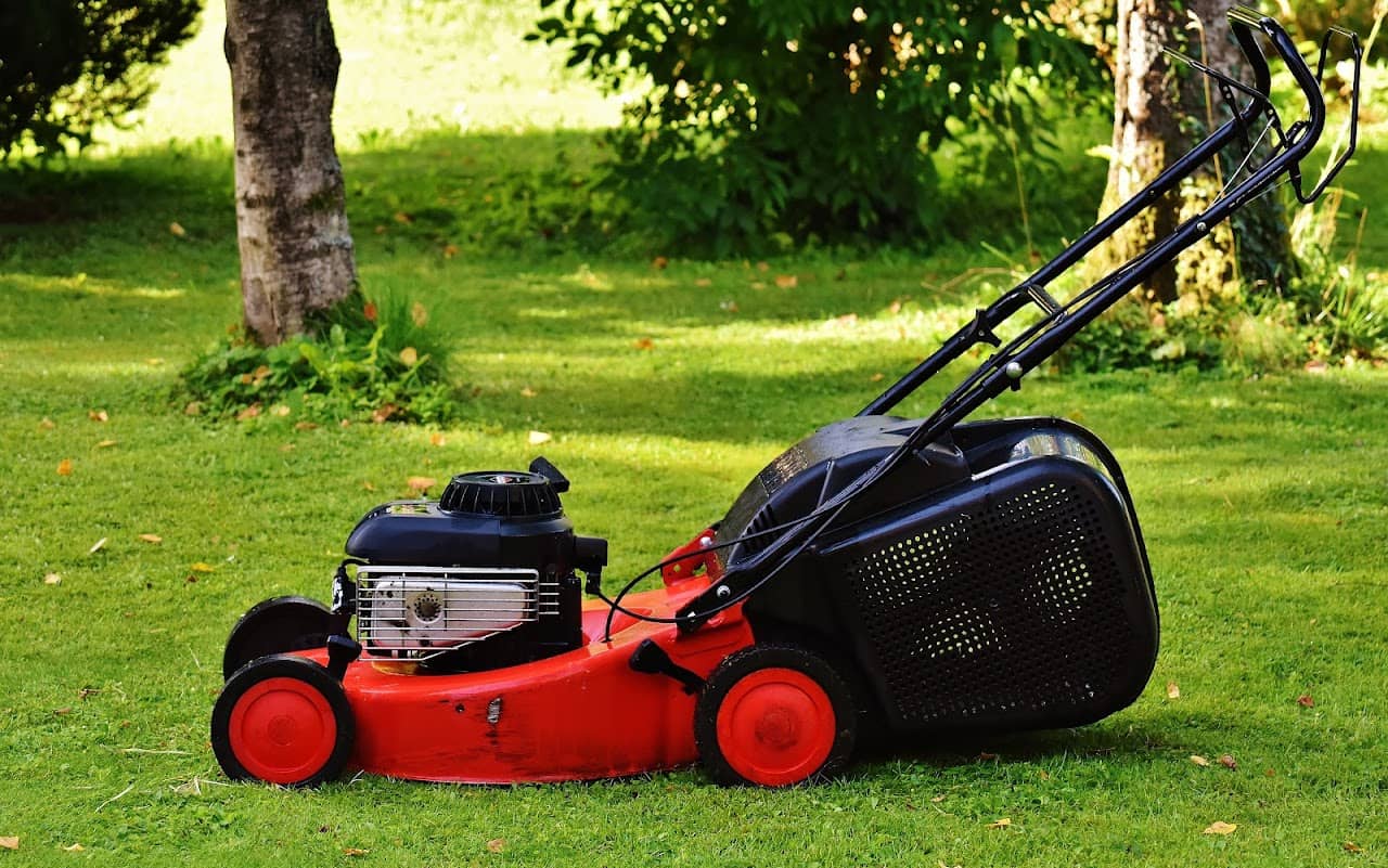 Handyman lawn mowing service in Toronto and GTA